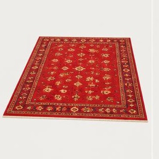 Rug / Carpet