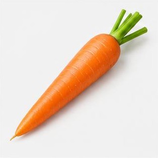 Carrot